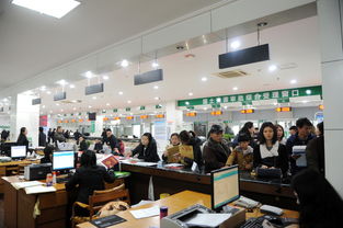 业务流程更优化 一窗受理助推集成服务新实践